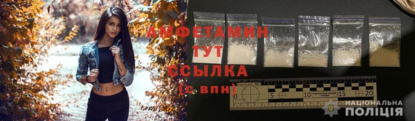 трава Кодинск