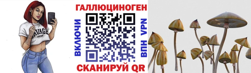 Галлюциногенные грибы ЛСД  где можно купить   Киров 